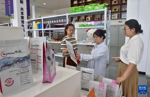 河北邢臺 以鄉村電商與信息咨詢鋪就產業振興快車道